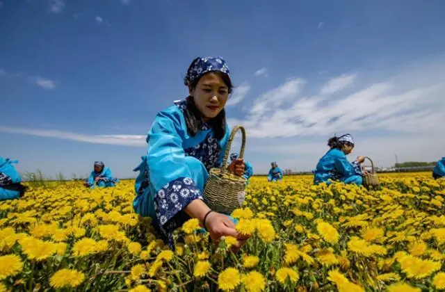 央视致富经_2020央视致富经_致富经央视