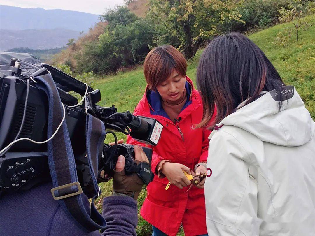 农业频道致富经_农业致富频道节目表_农业频道致富