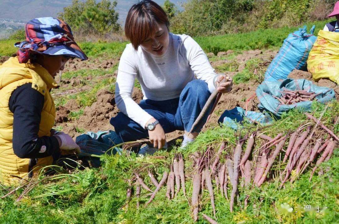 农业致富频道节目表_农业频道致富_农业频道致富经