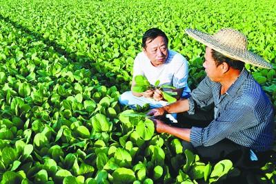 致富网养鱼_养鱼致富经_致富经新奇养鱼方法