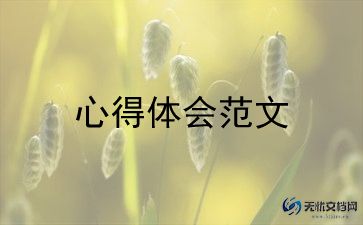 工作经验心得体会模板5篇