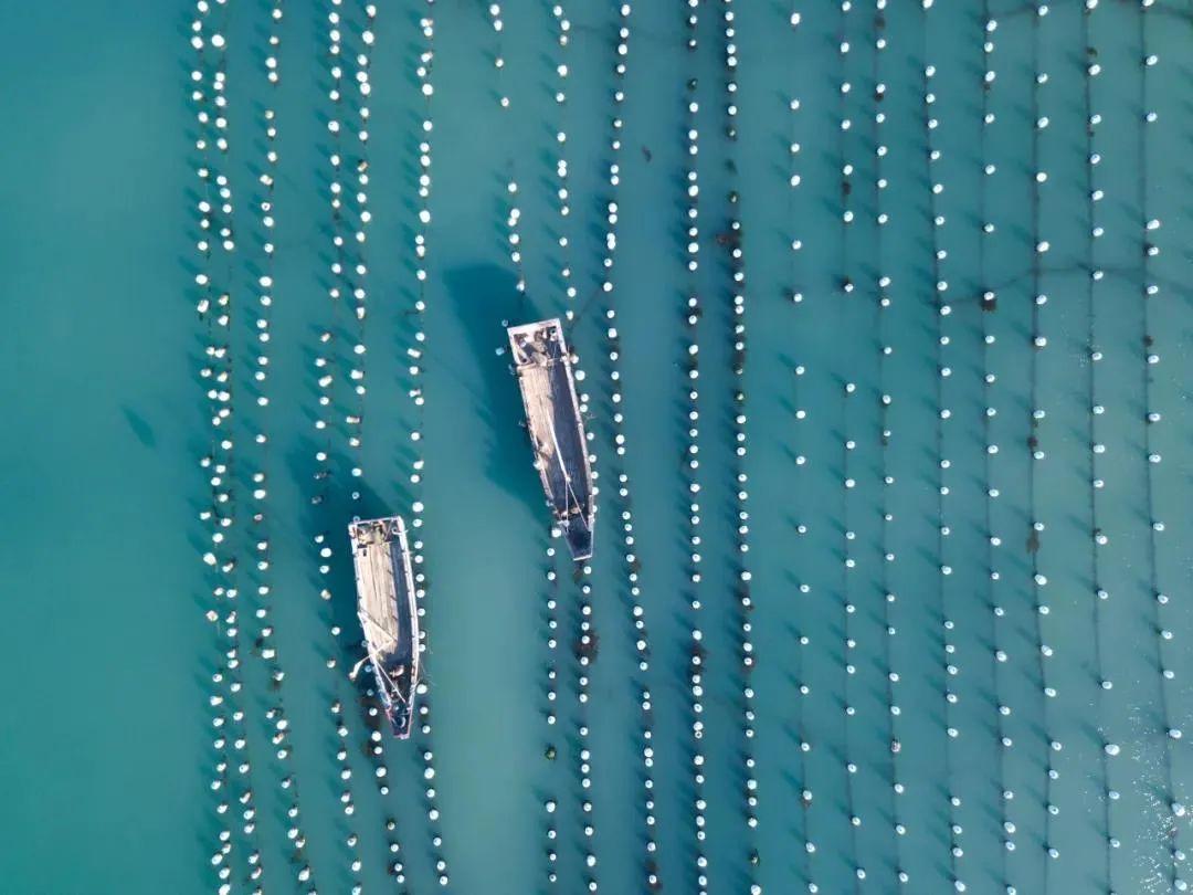 海沟经验心得_海沟经验心得_海沟经验心得