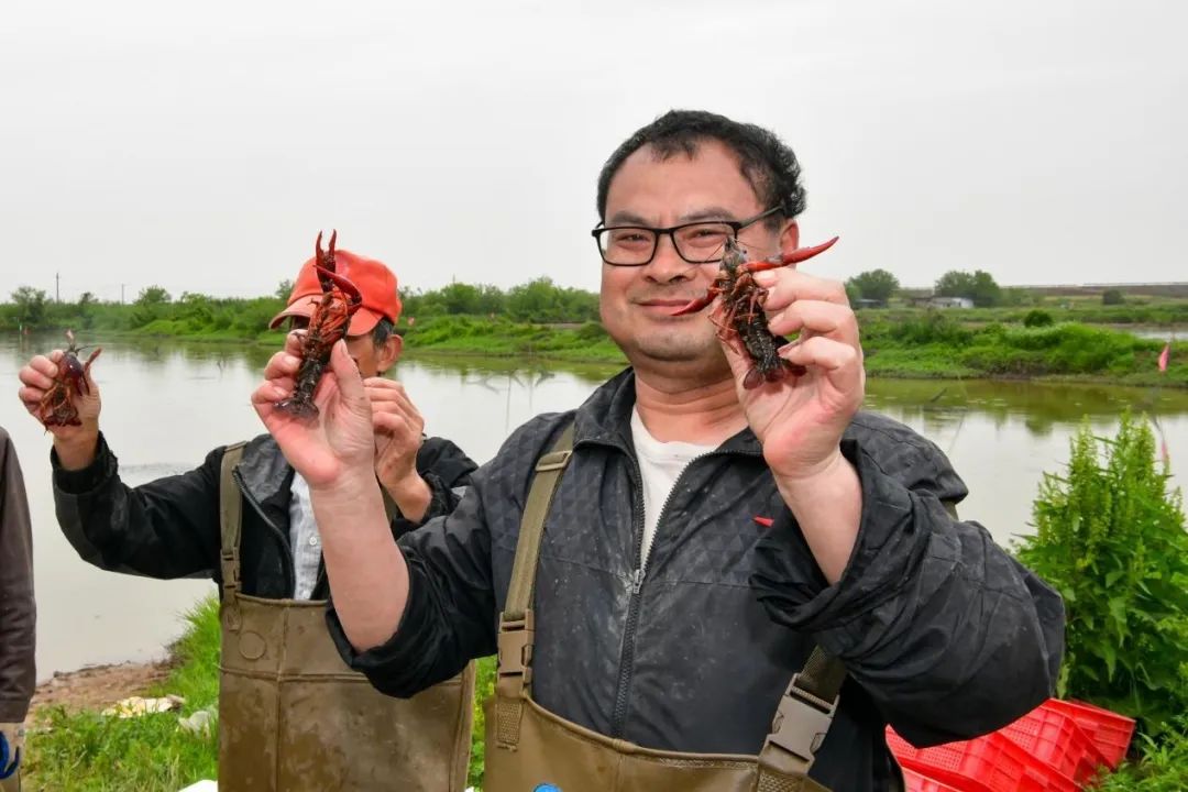 致富经养殖小龙虾_致富经小龙虾养殖_致富经龙虾养殖