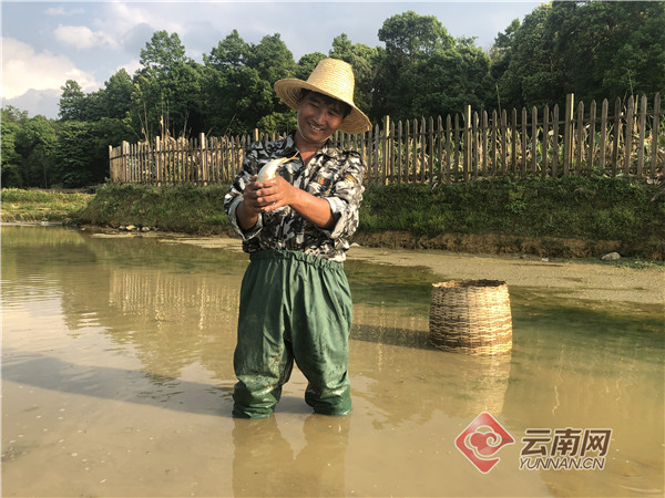 致富经泥鳅养殖视频全集_致富经泥鳅_致富泥鳅养殖技术