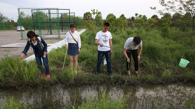 致富经养殖小龙虾_致富经小龙虾养殖_致富龙虾养殖小视频大全