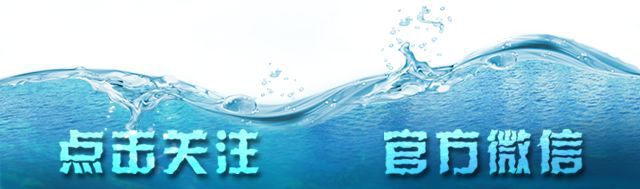 致富经鱼_致富鱼丰收_致富鱼游出产业振兴路