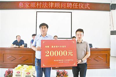 养羊致富经2020年全集_致富经创业项目农村养殖羊_养羊致富经