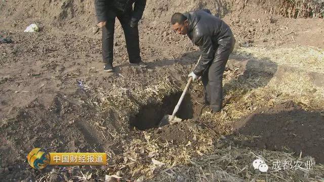 致富小视频加工厂_视频致富经_致富经全部视频