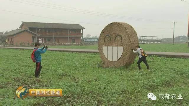 致富经全部视频_致富小视频加工厂_视频致富经