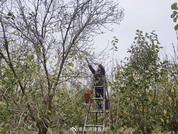 穷人如何致富秘诀穷人致富_致富经一亩地赚40万_致富经=