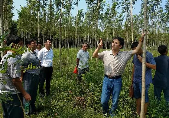 致富经鹅_鹅致富路_养鸭/鹅致富新技术