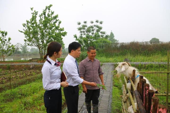 致富经养甲鱼_养甲鱼致富视频_致富经甲鱼养殖技术视频