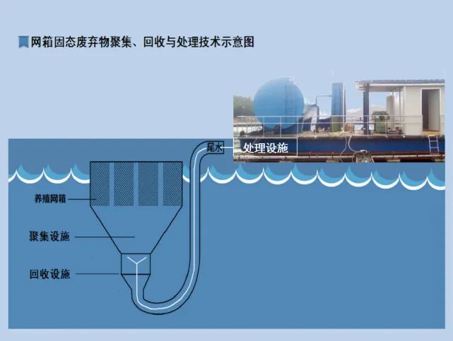 养甲鱼致富视频_致富经养甲鱼_养甲鱼赚钱