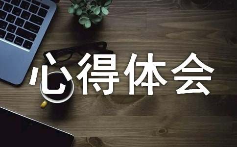 创业心得体会