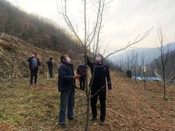 村医致富经小说阅读_村医致富经_村医致富经免费完整版ab