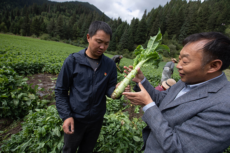 马致富画家_致富经马_长沙交警马致富