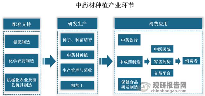 致富种植糖料蔗文案怎么写_种植致富经_致富种植创业项目