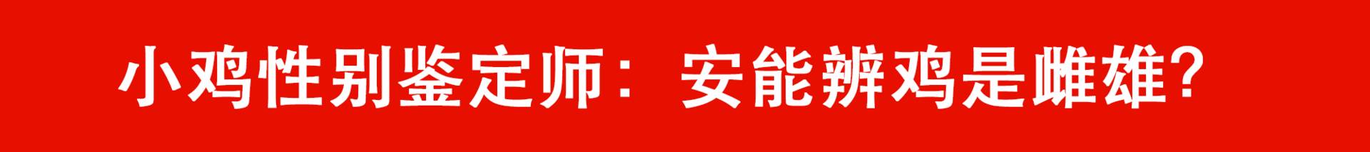 致富经养狗成功例子_致富经养狗_致富经养狗视频2018