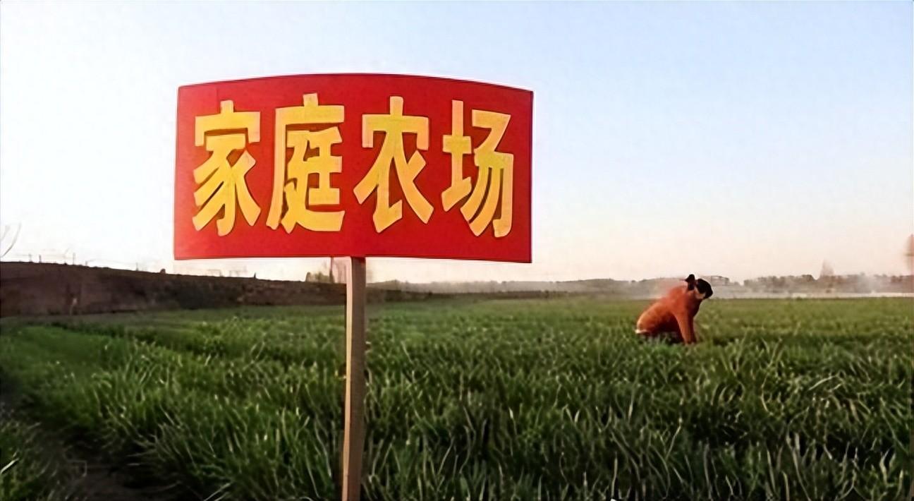 优秀经验做法的借鉴_优秀做法和先进经验_优质事件上报经验做法