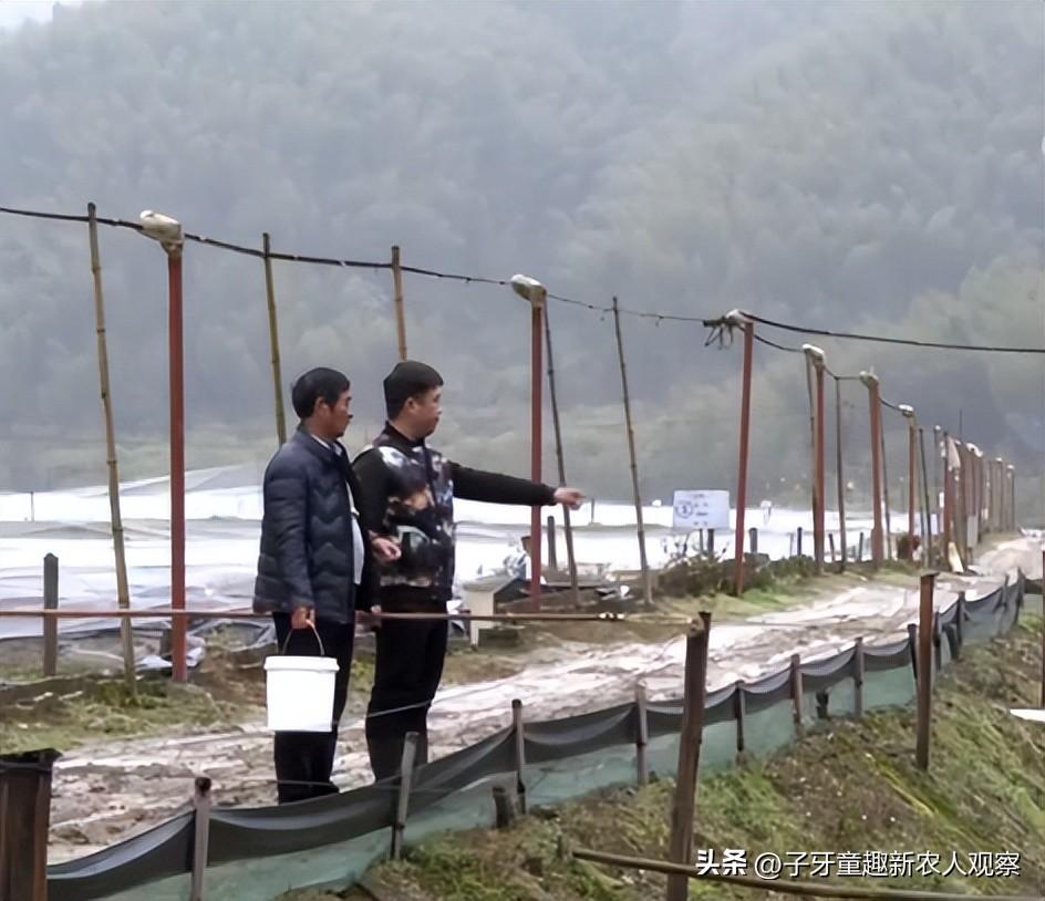 致富经泥鳅养殖_致富养殖泥鳅怎么样_致富养殖泥鳅视频