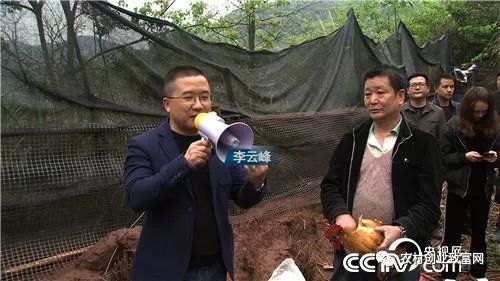 致富经养鸡视频大全_致富经鸡_致富鸡汤