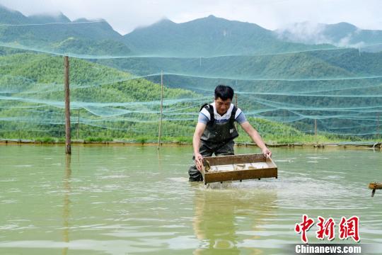 致富经泥鳅养殖_致富养殖泥鳅怎么样_养殖泥鳅挣钱吗