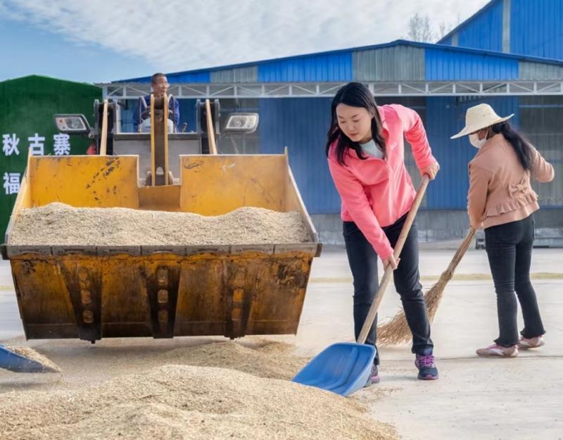 粮食优质工程典型经验发言_优质粮食工程典型经验交流_优质粮食工程总结