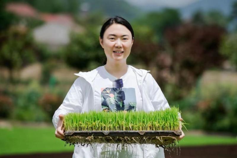 优质粮食工程总结_优质粮食工程典型经验交流_粮食优质工程典型经验发言