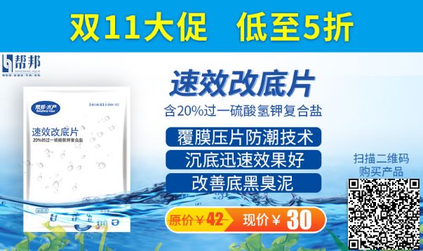 致富经小龙虾养殖技术_致富经小龙虾养殖视频播放_致富经小龙虾