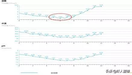 致富经小龙虾养殖视频播放_致富经小龙虾_致富经小龙虾养殖技术