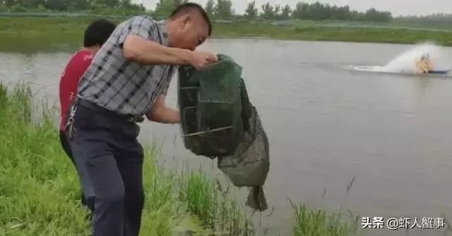 致富经小龙虾养殖技术_致富经小龙虾_致富经小龙虾养殖视频播放