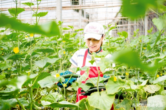 致富三农养牛视频_三农致富经_致富三农视频