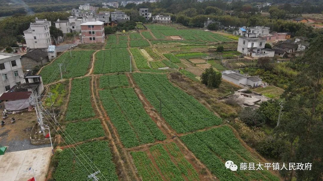 致富农业科技有限公司_致富农业节目_农业致富经