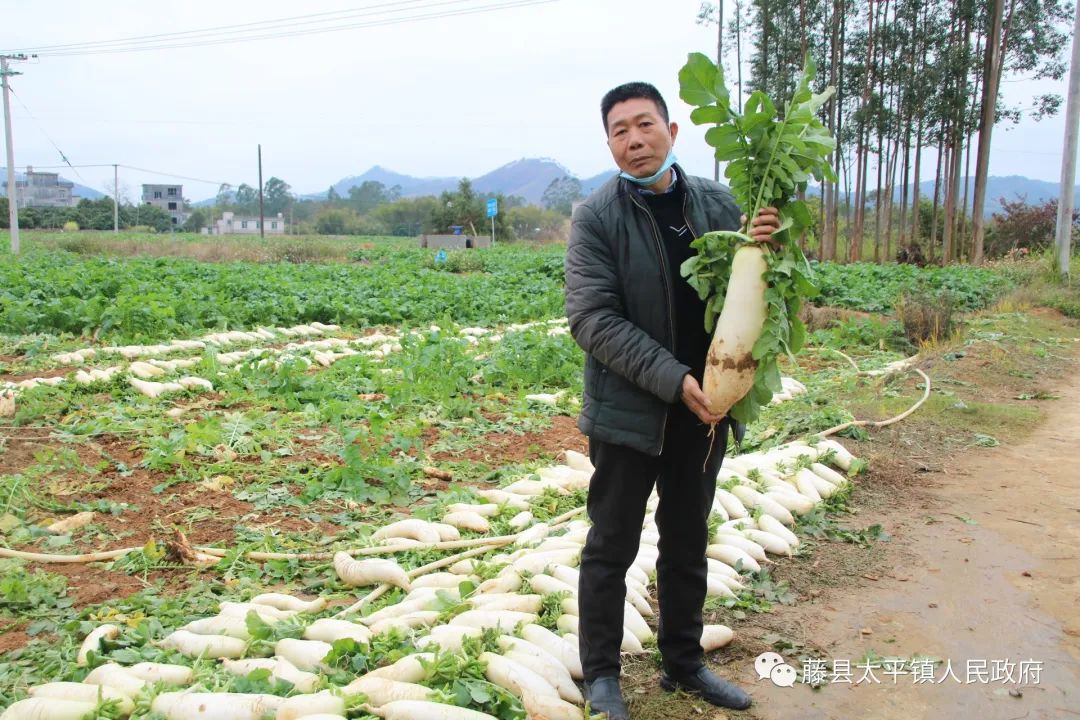 致富农业科技有限公司_农业致富经_致富农业节目