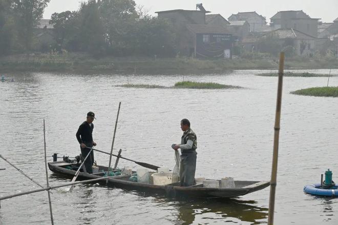 致富经养虾_致富经室内养虾视频_致富经养殖虾