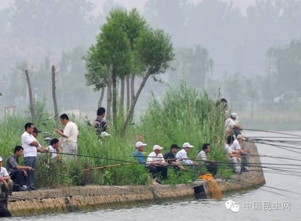 致富经室内养虾视频_致富经养虾_致富经淡水虾养殖视频