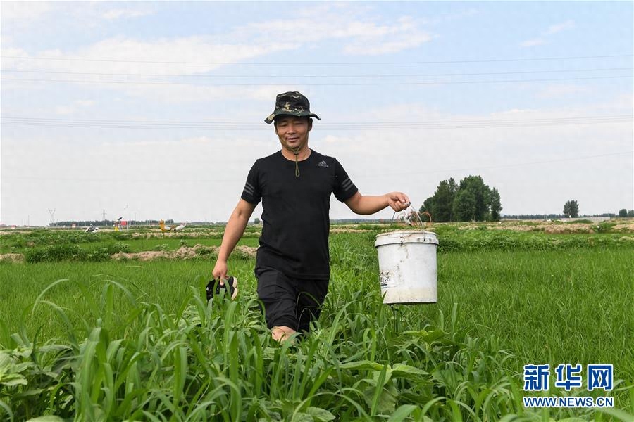 万亩旱地变水田——“水稻书记”白金泉的致富经