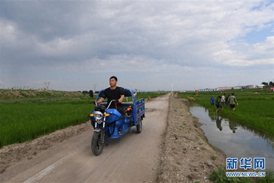 万亩旱地变水田——“水稻书记”白金泉的致富经