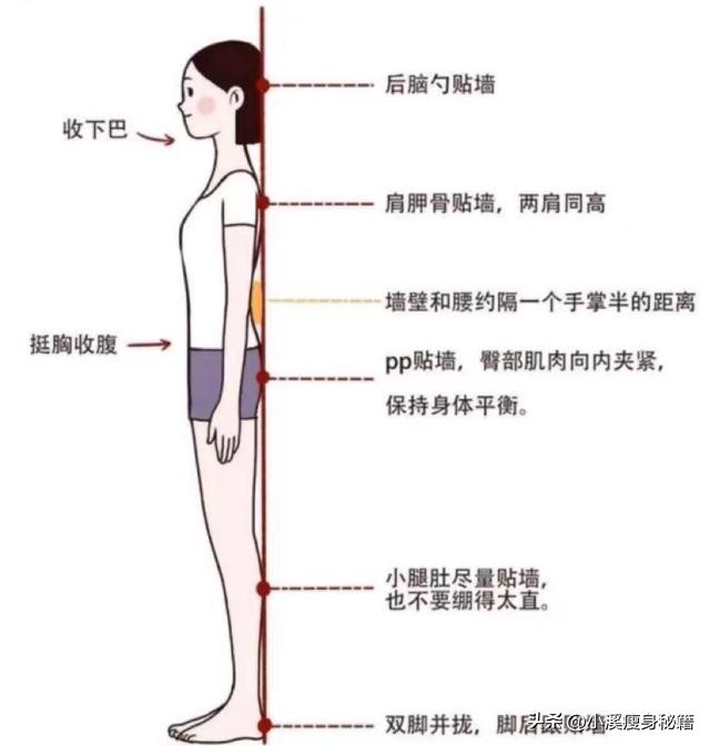 优质晨间锻炼分享经验_晨间锻炼活动内容_晨间锻炼内容指导要点