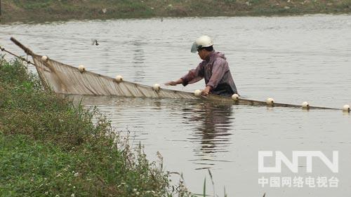 致富经淡水虾养殖视频_致富经养虾_致富经室内养虾视频