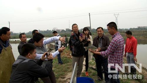 致富经淡水虾养殖视频_致富经养虾_致富经室内养虾视频