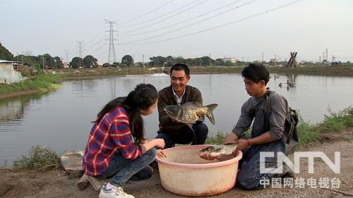 致富经室内养虾视频_致富经淡水虾养殖视频_致富经养虾