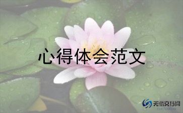 500强企业工作心得体会5篇