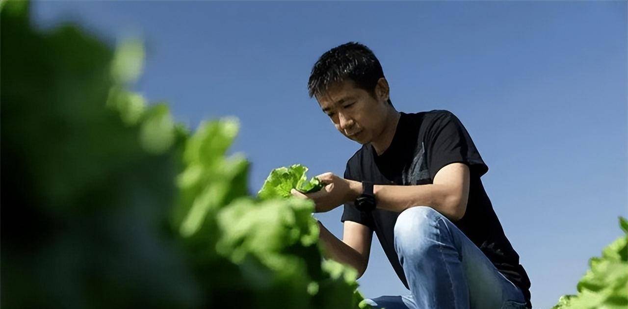 致富农业网_农业致富经_致富农业盐碱地