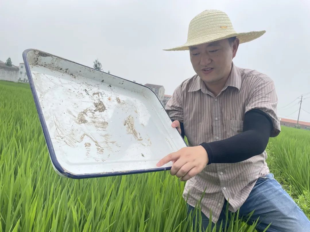 致富经室内养虾视频_致富经养殖虾_致富经养虾