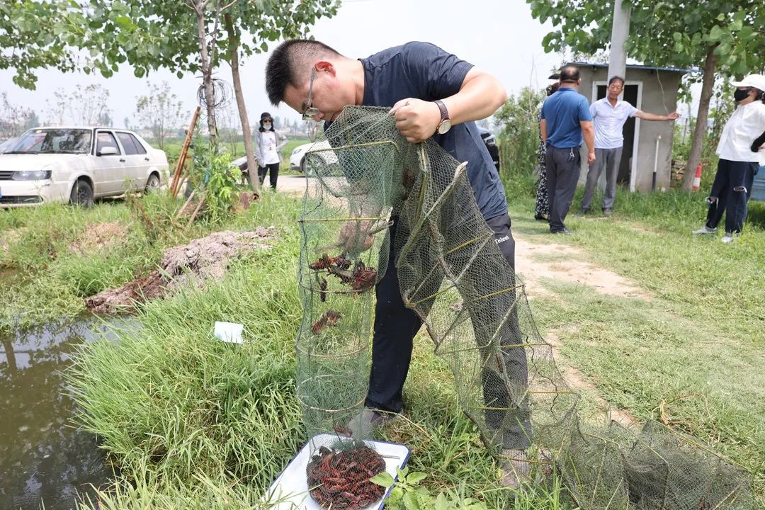 致富经养殖虾_致富经养虾_致富经室内养虾视频