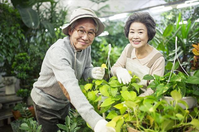 问道经验心得怎么做_问道心得怎么合成_问道经验心得怎么用