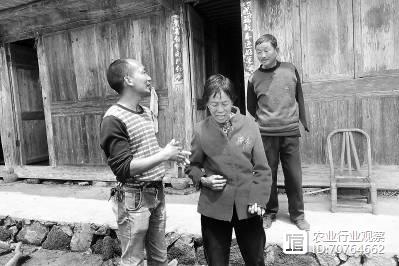 致富经养鸡视频大全_致富经鸡_致富鸡汤
