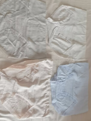 女式内裤