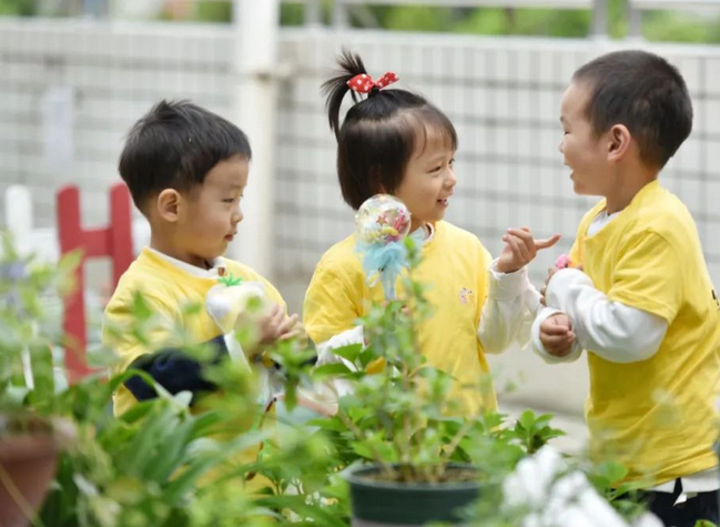 幼儿的心得体会简单写_幼儿园经验心得体会_幼儿经验心得